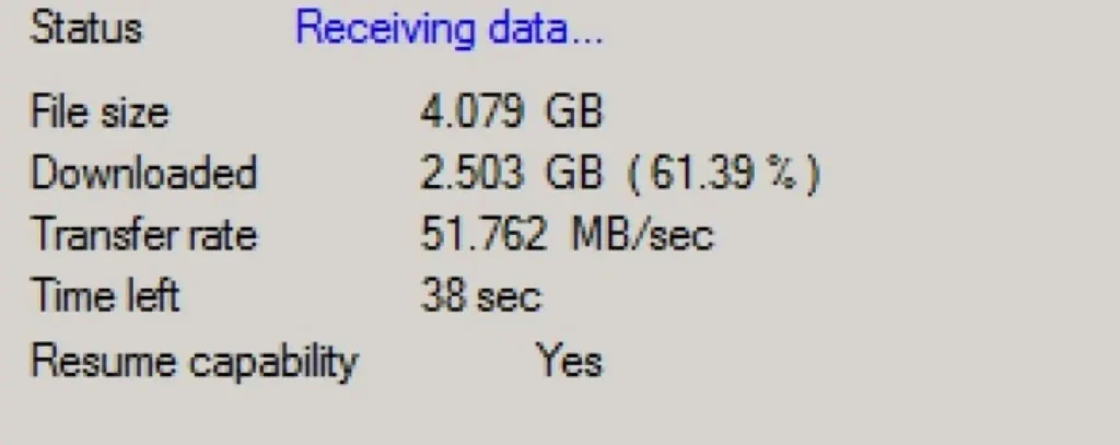 Die Anzeige der Download-Geschwindigkeit auf dem DDownload Premium-Konto zeigt 51 MB/s